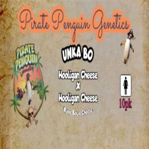 Pirate Penguin Genetics – Unka Bo (Feminized)