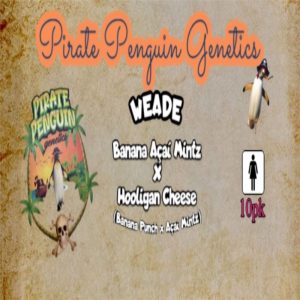 Pirate Penguin Genetics – Weade (Feminized)