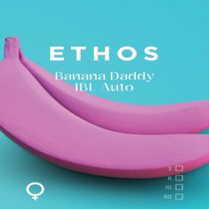 Ethos – Banana Daddy Auto IBL (Feminized) (Autoflower)