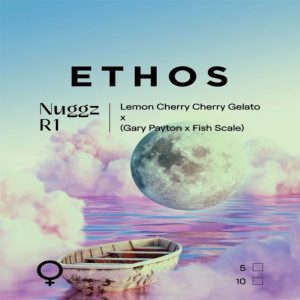 Ethos – Nuggz R1 (Feminized)