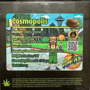 Exotic Genetix – Cosmopolis (Feminized)