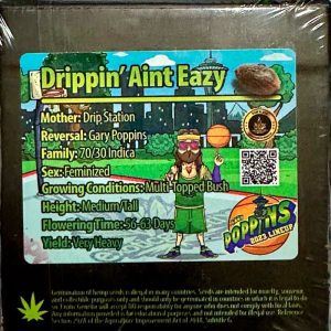 Exotic Genetix – Dripping’ Aint Eazy (Feminized)
