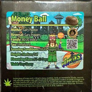Exotic Genetix – Money Ball (Feminized)