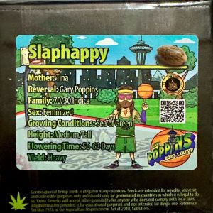 Exotic Genetix – Slaphappy (Feminized)