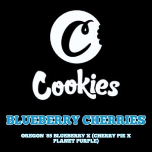 Cookies – Blueberry Cherries (Feminized)
