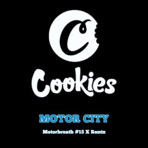 Cookies – Motor City (Feminized)
