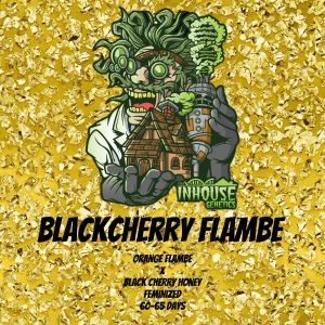 In House Genetics – Black Cherry Flambe (Gold Pack) (Feminized)