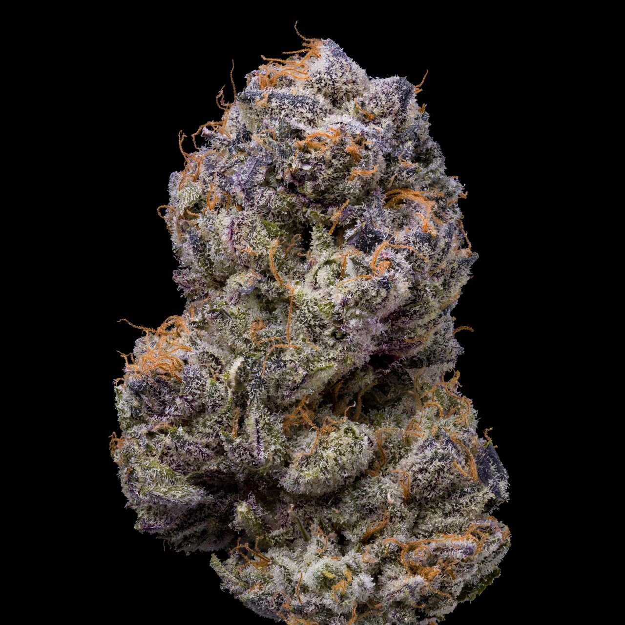 Lemonnade – Lemongrass (Feminized) - Image 2