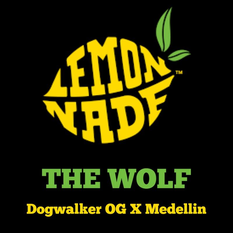 Lemonnade – The Wolf (Feminized)