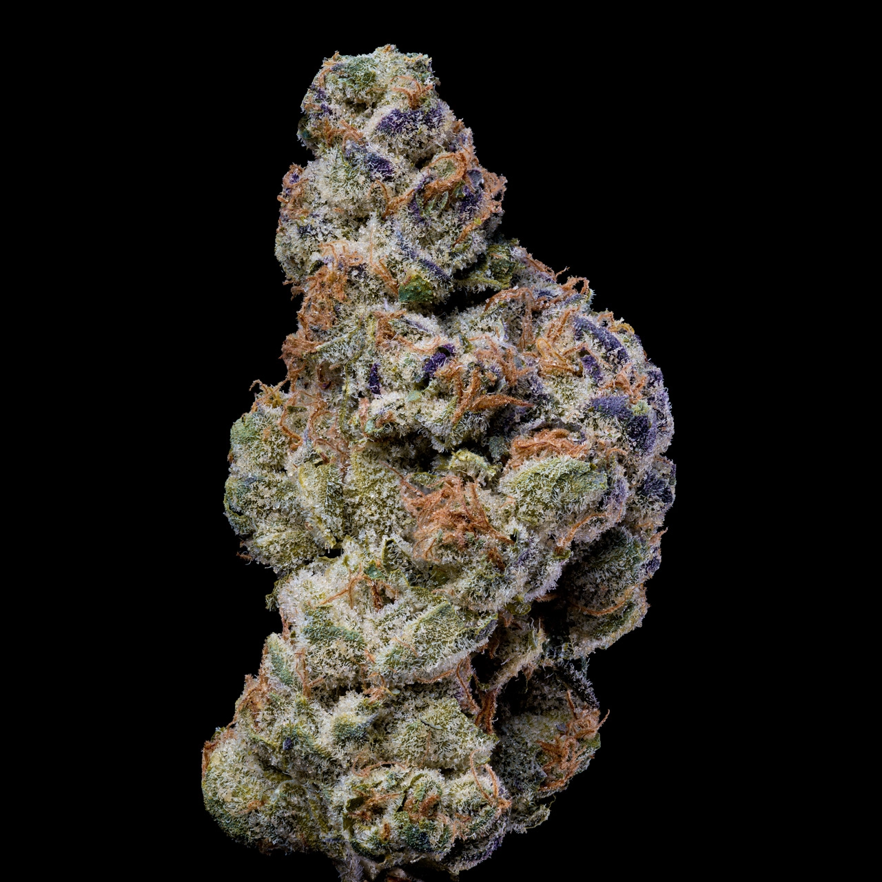 Lemonnade – White Coconut Pie (Feminized) - Image 2