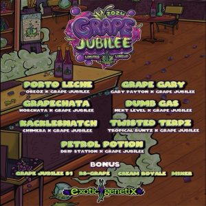Exotic Genetix – Porto Leche (Feminized)