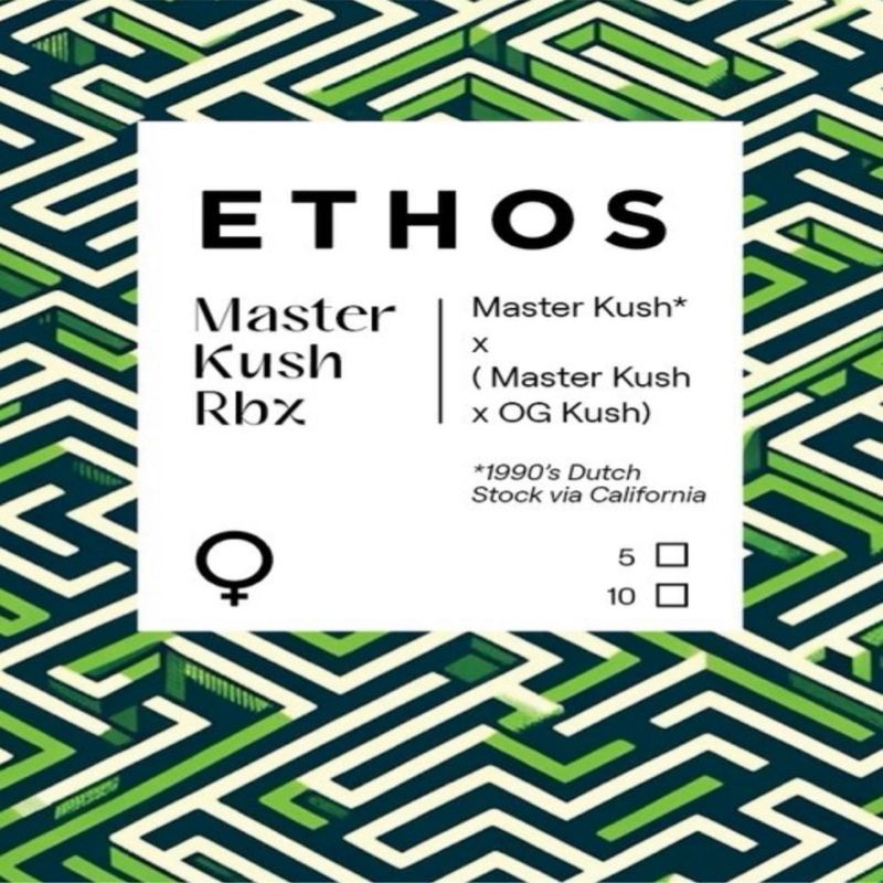 Ethos – Master Kush RBx (Feminized)