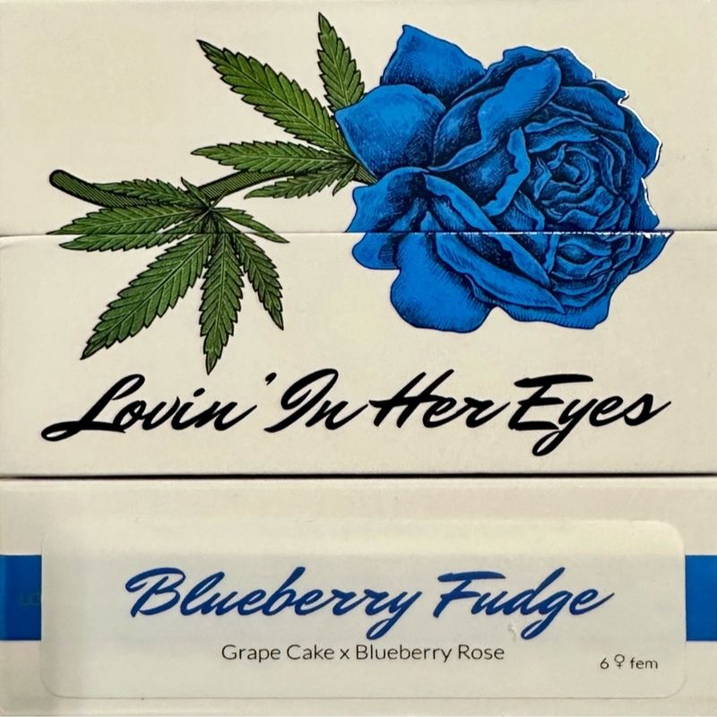 Lovin In Her Eyes – Blueberry Fudge (Feminized)