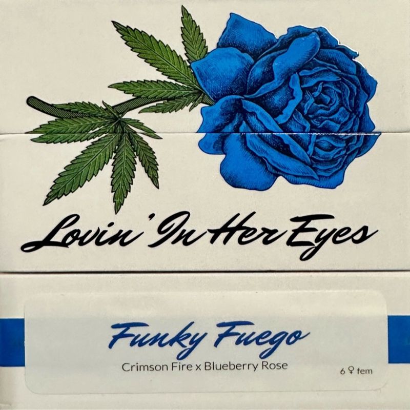 Lovin In Her Eyes – Funky Fuego (Feminized)