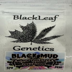 Black Leaf Genetics – Black Mud (Feminized)