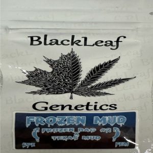 Black Leaf Genetics – Frozen Mud (Feminized)