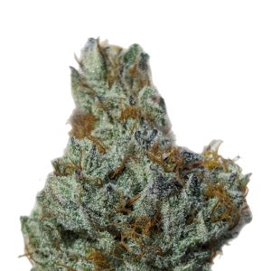 Black Leaf Genetics – Mendo Mud (Feminized) - Image 2