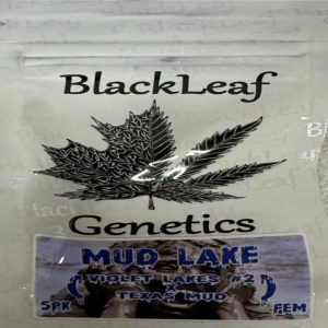 Black Leaf Genetics – Mud Lake (Feminized)