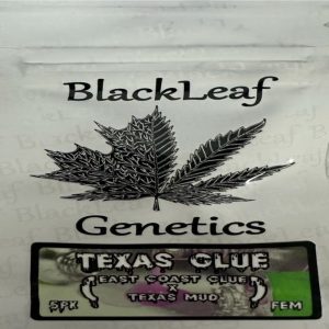 Black Leaf Genetics – Texas Glue (Feminized)