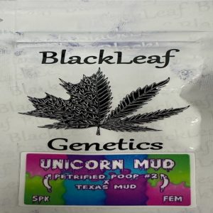 Black Leaf Genetics – Unicorn Mud (Feminized)