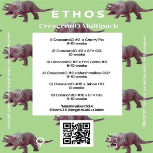 Ethos – Crescendo Multipack (Feminized)