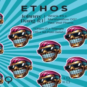 Ethos – Johnny Dang R1 (Feminized)