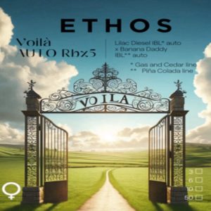 Ethos – Voila Auto Rbx5 (Feminized) (Autoflower)