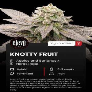 Elev8 Seeds – Knotty Fruit (Feminized)