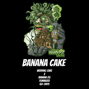 In House Genetics – Banana Cake (Feminized)