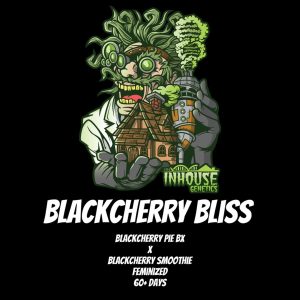 In House Genetics – Black Cherry Bliss (Feminized)
