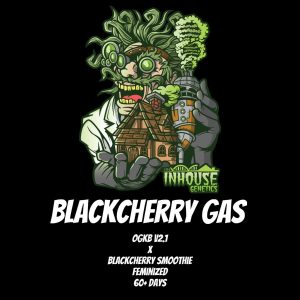 In House Genetics – Black Cherry Gas (Feminized)