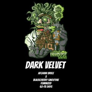 In House Genetics – Dark Velvet (Feminized)
