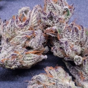 In House Genetics – Platinum S2 (Gold Pack)(Limited) (Feminized) - Image 2