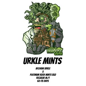 In House Genetics – Urkle Mints (Regular M/F)