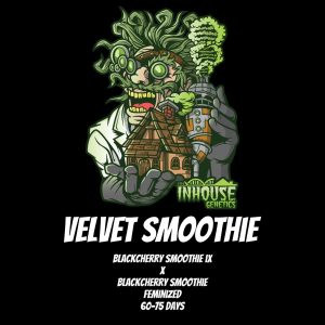 In House Genetics – Velvet Smoothie (Feminized)
