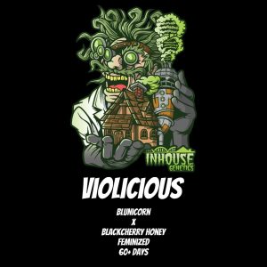In House Genetics – Violicious (Feminized)
