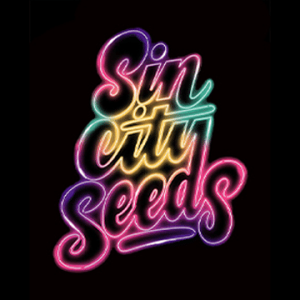(Freebie) 3″ x 2″ Sticker – Sin City Seeds