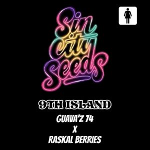 Sin City Seeds – 9th Island (Feminized)