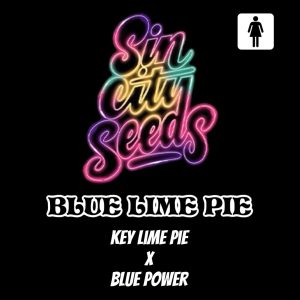 Sin City Seeds – Blue Lime Pie (Feminized)