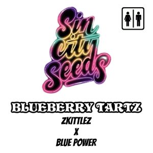 Sin City Seeds – Blueberry Tartz (Regular M/F)