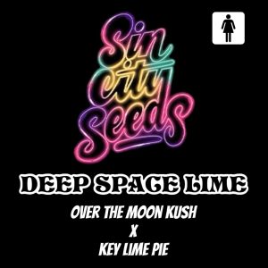 Sin City Seeds – Deep Space Lime (Feminized)