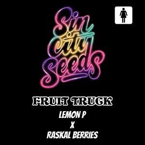 Sin City Seeds – Fruit Truck (Feminized)