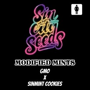 Sin City Seeds – Modified Mints (Feminized)