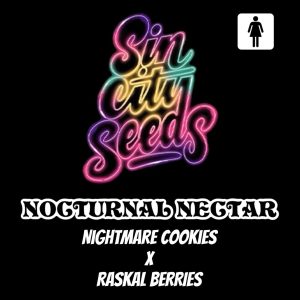 Sin City Seeds – Nocturnal Nectar (Feminized)