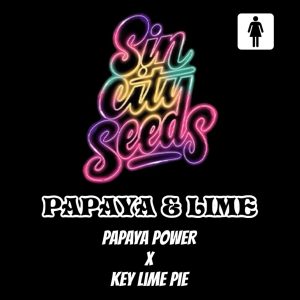 Sin City Seeds – Papaya & Lime (Feminized)
