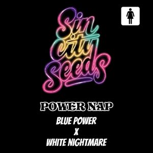 Sin City Seeds – Power Nap (Feminized)