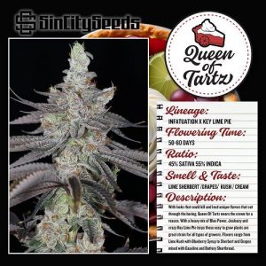 Sin City Seeds – Queen Of Tartz (Feminized) - Image 2