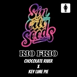Sin City Seeds – Rio Frio (Feminized)