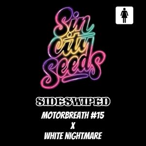 Sin City Seeds – Sideswiped (Feminized)