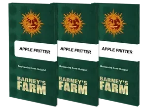 Barney’s Farm – Apple Fritter (Feminized) - Image 2